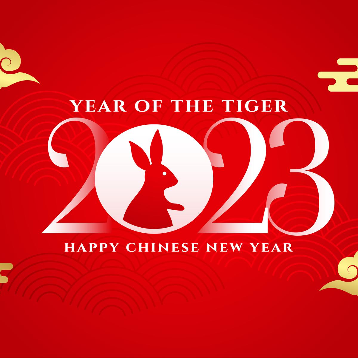 Horóscopo Chino 2023, predicciones: qué animal te representa el nuevo año  en China y cuándo empieza a regir, Predicciones, Conejo de Agua, Astrología, Tarot, MEXICO