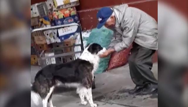 El anciano demostró que el amor por los animales no tiene límites. (Foto: captura Facebook)