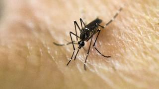 Colombia reporta al menos 18 muertes por dengue en el 2020