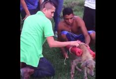 Honduras: Jóvenes colocan cohetes en perrito y lo hacen explotar