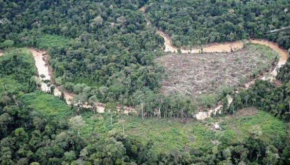 Desde el 2004 se ha logrado una reducción del 76% en la deforestación. (Foto referencial: Agencia)