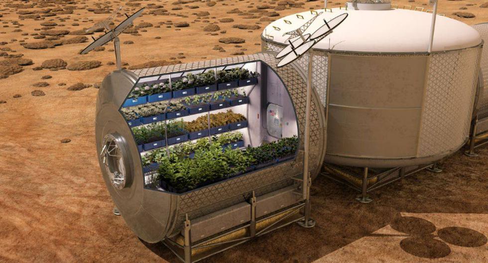 Tripulantes de la EEI comenzaron a cultivar las verduras dentro de un sistema llamado 'Veggie' que actúa como un invernadero de microgravedad. (Foto: Imagen ilustrativa / NASA)