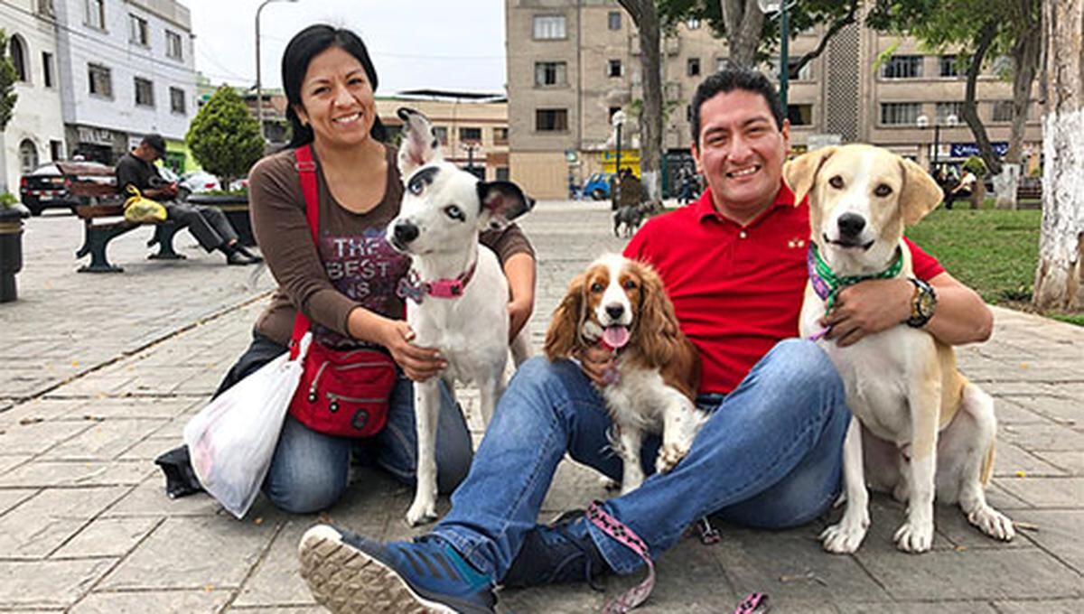 Magaly Periche Jacinto y Carlos Zelada junto a sus perros Isis (Cocker), Arena (ojos azules) y Ramsés, el protagonista de esta historia. (Foto: Andrea Carrión)