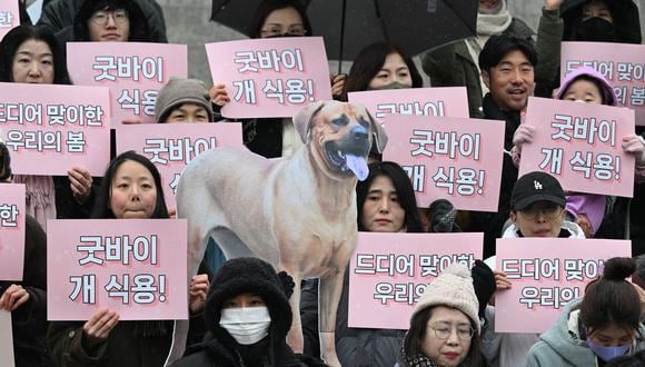 Activistas por los derechos de los animales sostienen carteles que dicen "¡Adiós carne de perro!" durante una manifestación para dar la bienvenida a un proyecto de ley que prohíbe el comercio de carne de perro en la Asamblea Nacional en Seúl el 9 de enero de 2024. (Foto de JUNG YEON-JE / AFP)