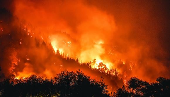 “Natur-e” es el diario visual de la experiencia de un fotógrafo viviendo en el bosque y también es una transcripción de la naturaleza atravesada por el lenguaje digital y el color.  (Foto: Galería El Ojo Ajeno)