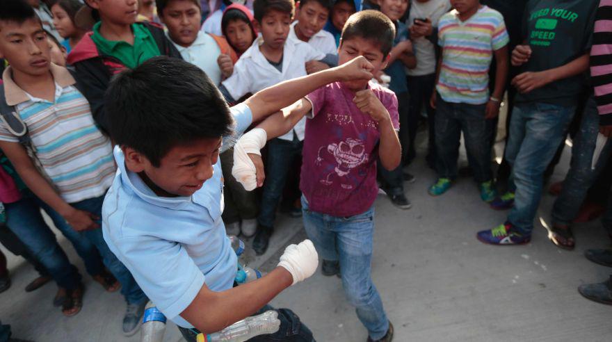 Xochimilcas, la tradicional pelea mexicana en Zitlala - 3