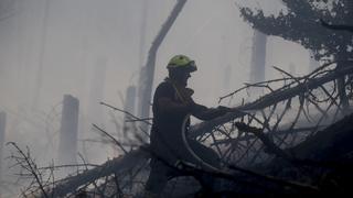 Incendio al norte de República Checa devora mil hectáreas de bosque y afecta a Alemania