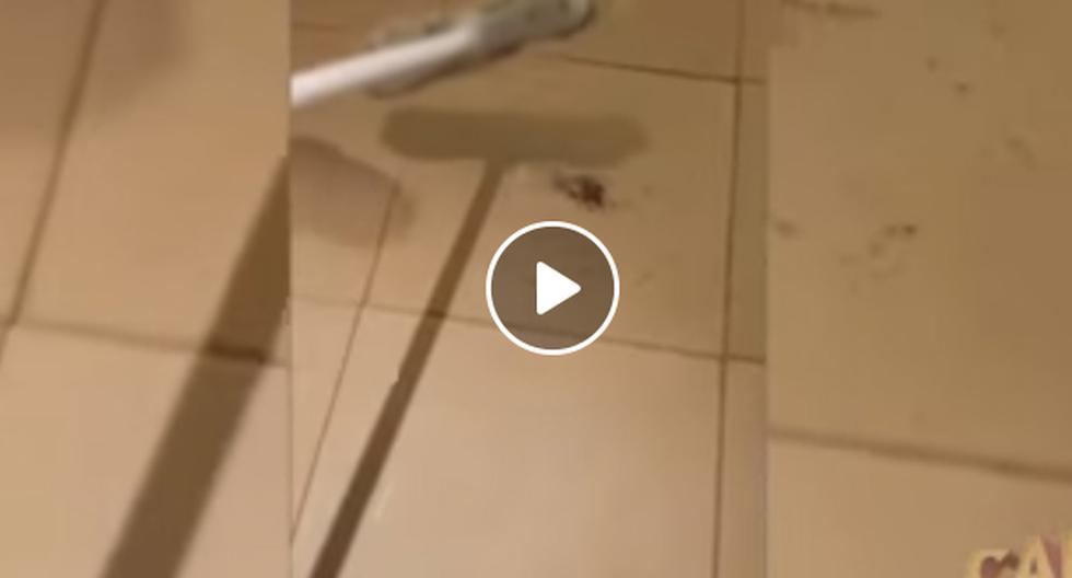 Esta grabación de YouTube veremos cómo es que un muchacho se lleva la sorpresa de su vida al aplastar a una araña. (Foto: captura)