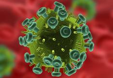Sida: ¿Por qué aún no hay una vacuna contra el VIH? Entérate aquí