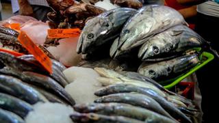 Semana Santa | Conoce los beneficios del consumo de pescado y cómo reconocer su frescura