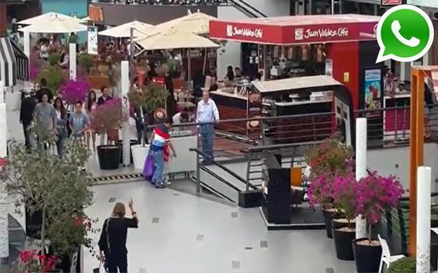 Vía WhatsApp: abejas invaden centro comercial Larcomar [VIDEO] - 1
