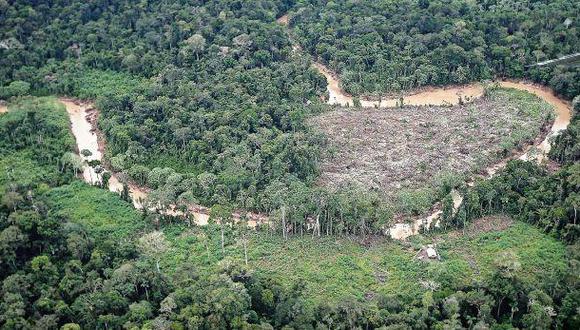 Comprueban nuevas áreas deforestadas en Loreto y Ucayali