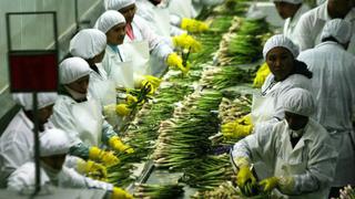 Minagri: agroexportaciones superarán los US$6.000 mlls. el 2016