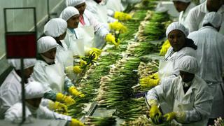 Producción agropecuaria cerraría el año con crecimiento de 2,8%