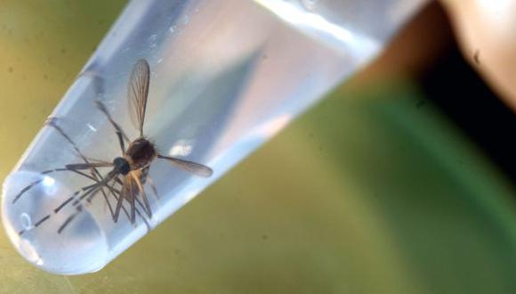 Experto calcula la probabilidad de contagio sexual del zika