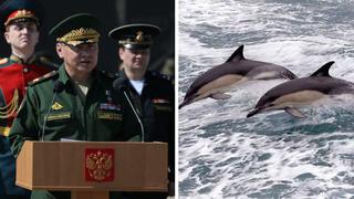 Los delfines militares de Crimea ahora son rusos