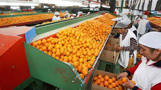Producción nacional de mandarina crecerá 8,5% en el 2014