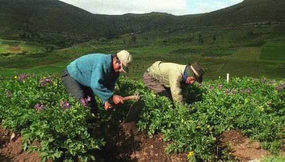 El agro crecería a 4% este año, proyecta el Minagri. (Foto: Difusión)