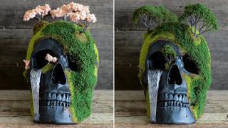 Este cráneo funciona como maceta para decorar con un bonsái