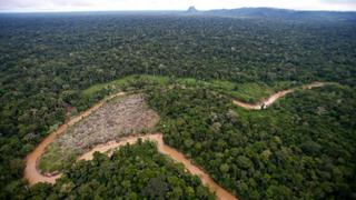 Salven a la Amazonía de Bolsonaro, por Heriberto Araújo