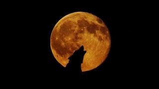 Eclipse de "Superluna de sangre de lobo" | ¿Por qué lleva ese peculiar nombre?