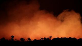 Cómo la selva amazónica se volvió más inflamable pese a su gran humedad