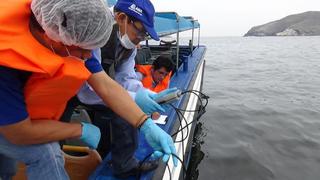 Áncash: evalúan estado de calidad de agua en mar chimbotano
