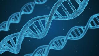 Cáncer: 1 de cada 8 pacientes heredó mutaciones genéticas relacionadas con el mal que padece 