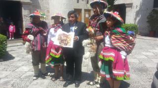 Arequipa: buscan que danza sea declarada patrimonio inmaterial