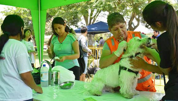 Se realizará en el Parque Santos Dumont en Lince a partir de las 09:00 a.m. hasta las 4:00 p.m., informaron los encargados del evento. (Foto: Facebook Fundación Rayito)