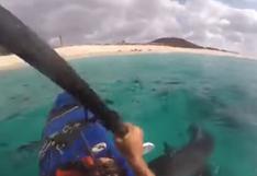 YouTube: sujeto que rema en medio de tiburones causa indignación