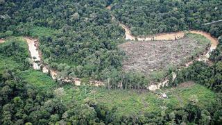 Comprueban nuevas áreas deforestadas en Loreto y Ucayali