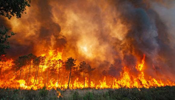 un incendio forestal en Landiras, Francia.