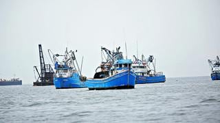 Exportaciones tradicionales pesqueras se recuperaron en julio y crecieron un 22,5%