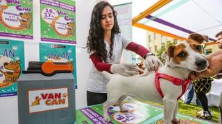 Minsa vacunará a miles de canes de Lima y Callao