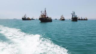 Produce autoriza pesca exploratoria de anchoveta en la zona sur 