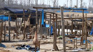 El infierno de La Pampa: PNP intervino campamentos de minería ilegal [FOTOS]