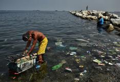 WWF: "El ser humano convirtió el mar en un basurero"
