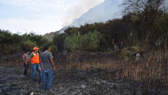 La quema de carrizos y yerba silvestre habría sido provocado por personas que pretenderían invadir terrenos. (Foto:  Municipalidad de Buenavista Alta)