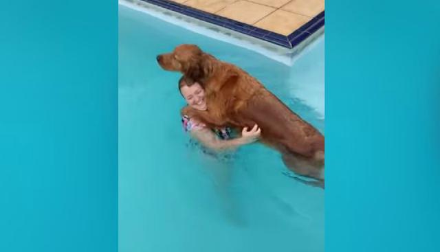 Al impulsarse, el can hacía que regresaran al centro de la piscina. (YouTube: ViralHog)