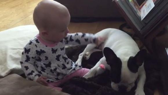 YouTube: bebe trata de molestar al perro más paciente del mundo