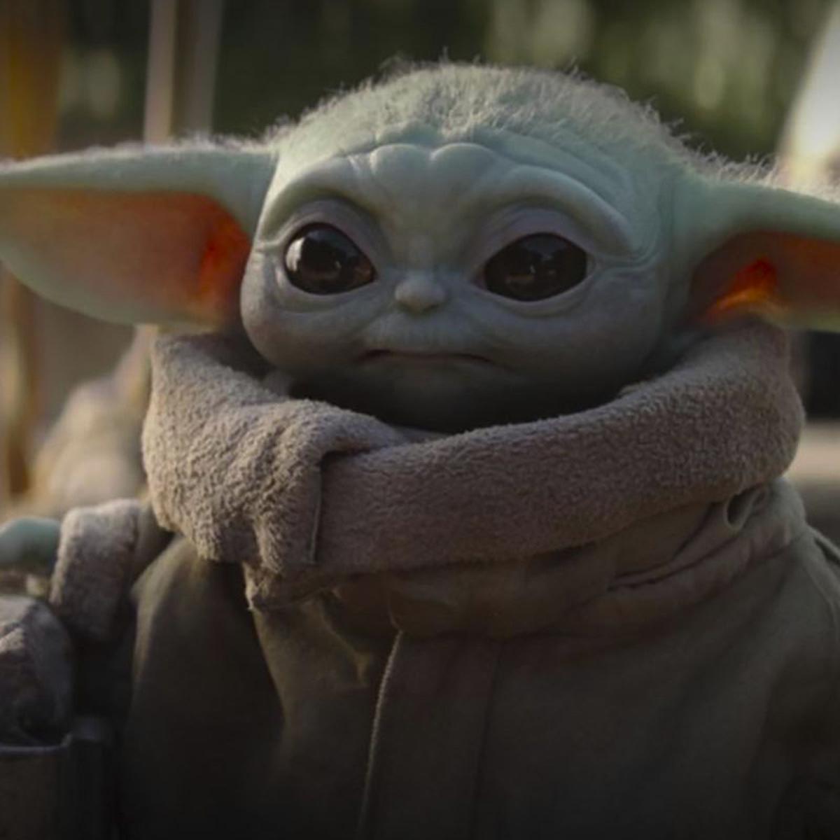 The Mandalorian Cual Es El Verdadero Nombre Del Bebe Yoda Baby Yoda Star Wars Respuestas Mag
