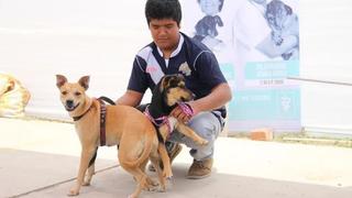 La Libertad: Trujillo tendrá su primera maratón canina