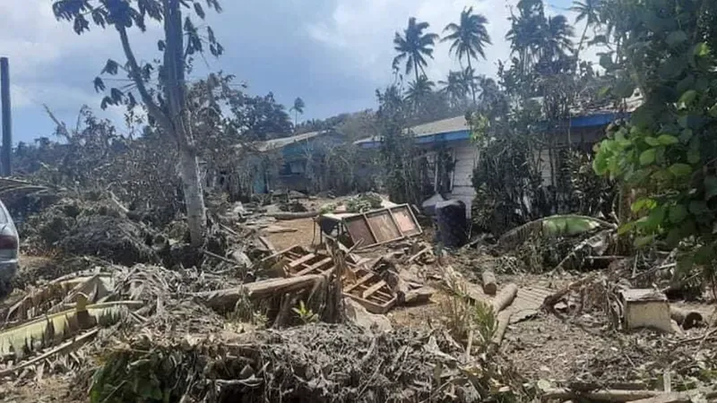 The eruption and subsequent tsunami destroyed trees and infrastructure.  (CONSULATE OF THE KINGDOM OF TONGA IN THE EUROPEAN UNION).