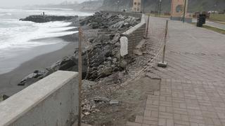 Gripe aviar: alcalde de Miraflores solicitará al Minsa cierre temporal de playas por prevención