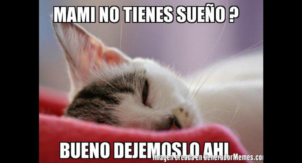 El Día del Gato no se celebra únicamente cada 8 de agosto, sino en otras dos ocasiones al año. (Foto: Facebook)