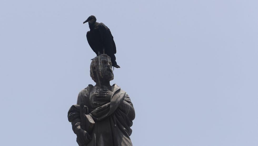 El centro de Lima es uno de los lugares favoritos de los gallinazos para anidar por la altura de sus iglesias y otros edificios como Palacio de Gobierno y el Congreso de la República. La escultura en la imagen no tiene heces de gallinazos sino de paloma (Foto: César Campos).