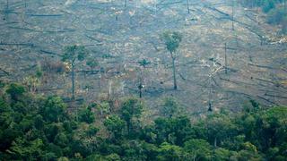 Francia propone un fondo internacional por la Amazonía en lugar del brasileño