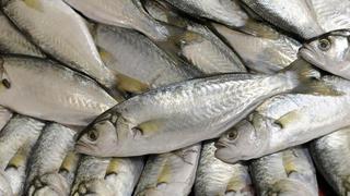 ¿Cuáles son los pescados más consumidos por los peruanos?