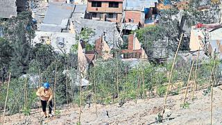 El proyecto que intenta evitar derrumbes en cerros habitados